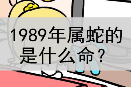 1989是什么蛇|1989年属什么生肖 